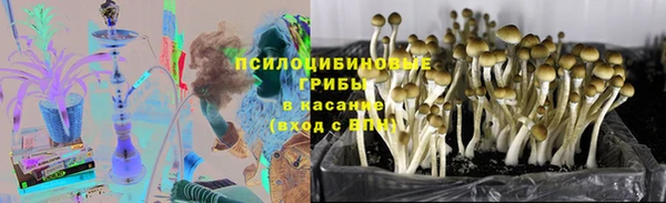 ешки Вяземский