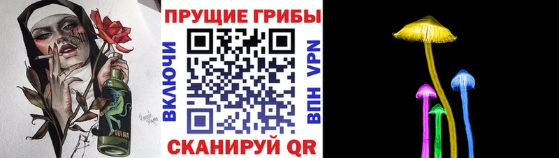 kraken зеркало  Кадников  Псилоцибиновые грибы Magic Shrooms 